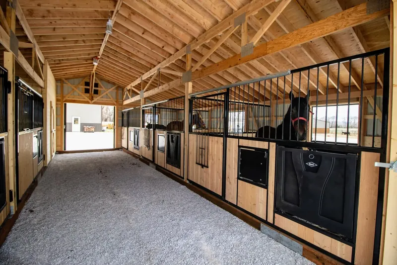 Inside a finished horse barn: exposed timber framing overhead, a row of stalls with black grilles and a clear center alley