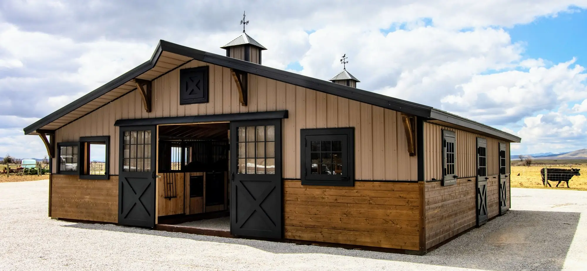 Open pasture with cattle grazing, mountains on the horizon, behind the barn's roofline