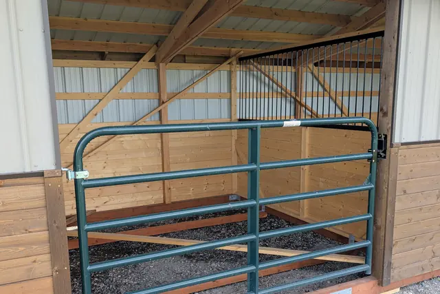 Close view of a green steel gate across an open stall, with wood-paneled walls on both sides